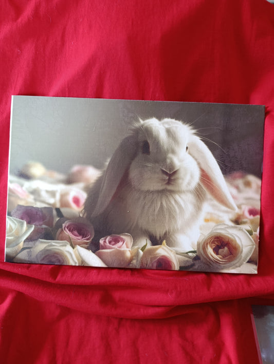 Stampa su tela intelaiata 18x24