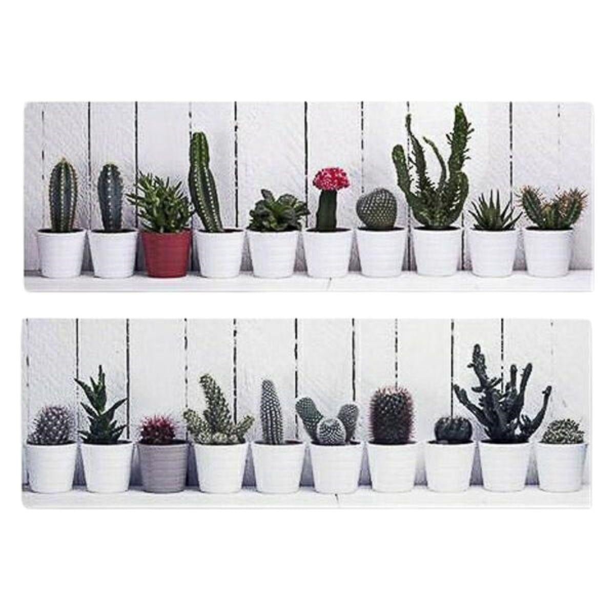 Quadro dipinto piante in set di 2