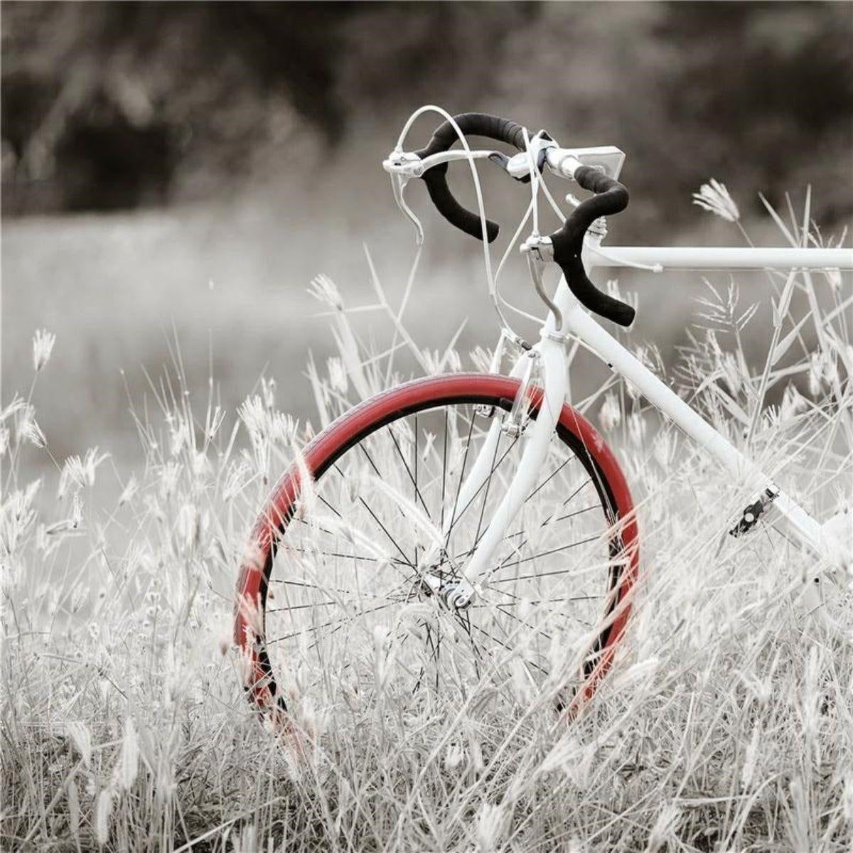 Quadro dipinto con bicicletta rossa 60X60 - Milano 7 Arte e Design