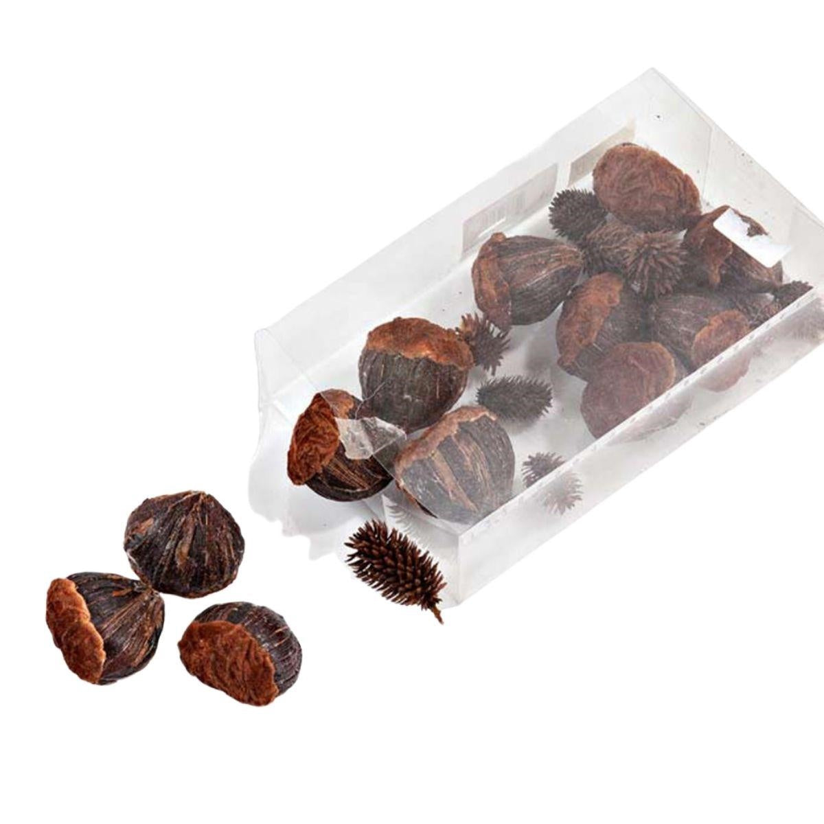 Decorazione castagne in confezione da 12 - Milano 7 Arte e Design