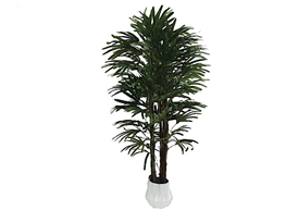 Pianta ornamentale Fan Palm 140 cm. 400 foglie con vaso