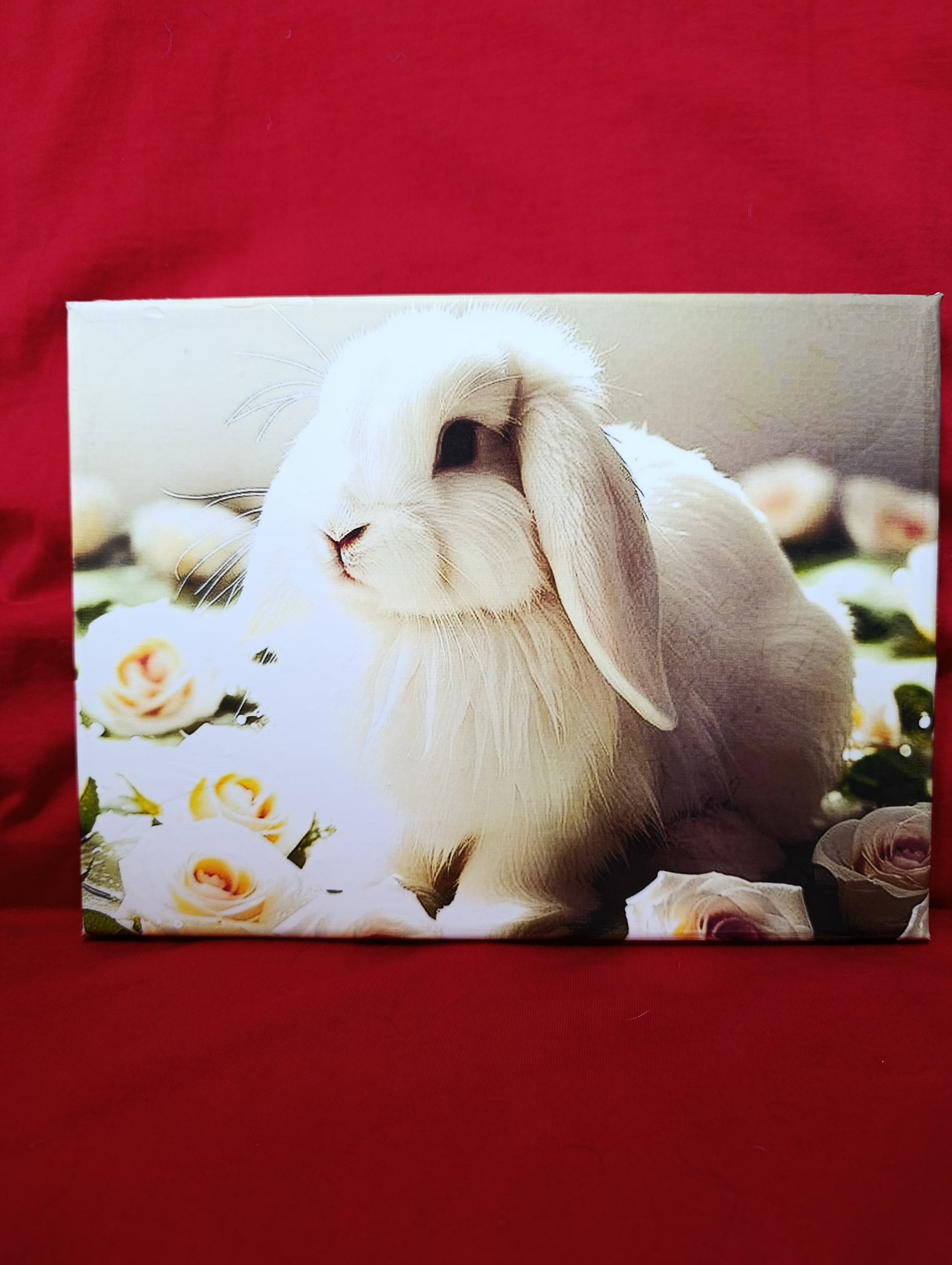 Stampa su tela intelaiata 18x24