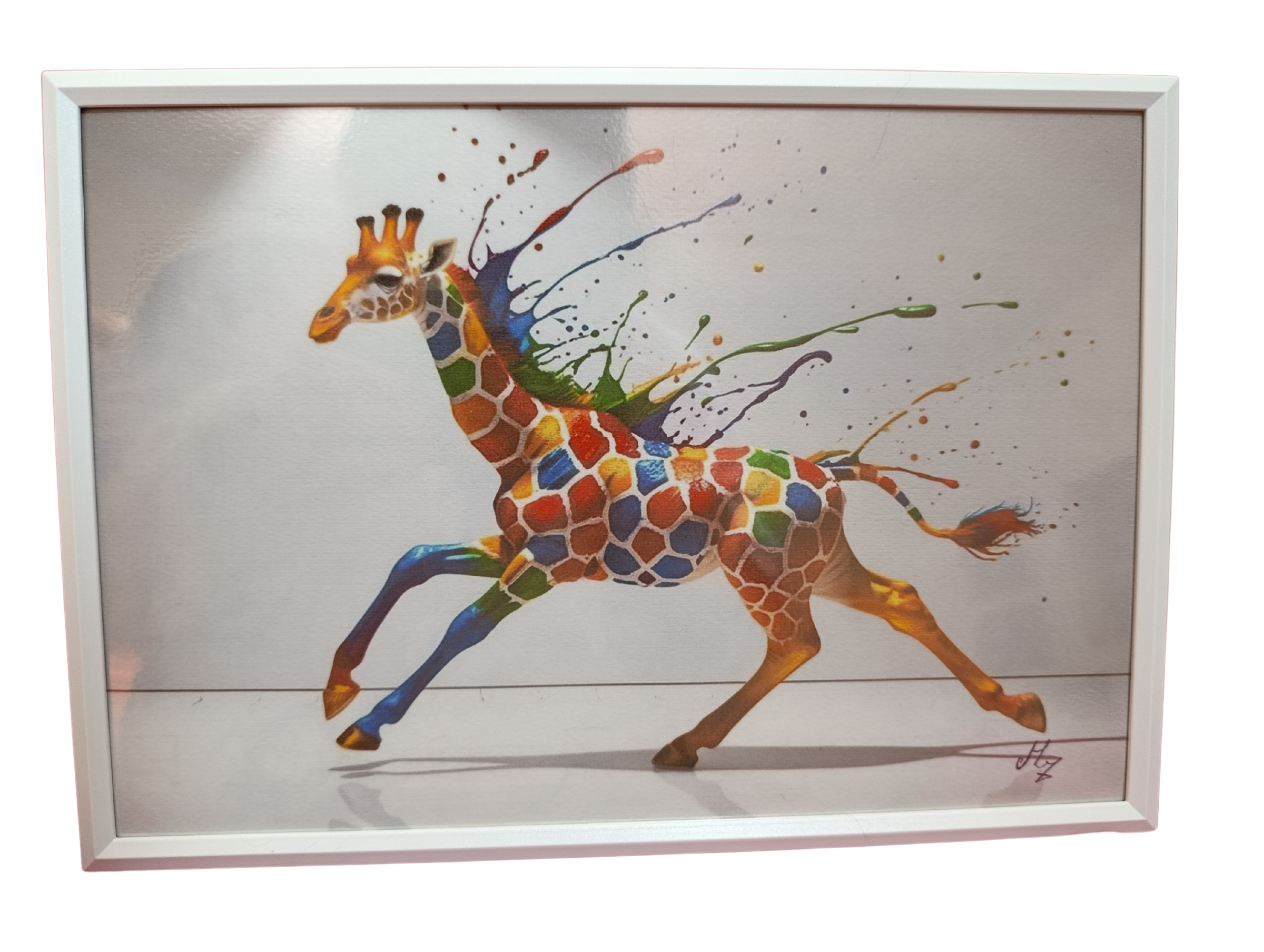 Stampa 20x30 ,  ritoccata a mano, su cartoncino Fabriano .