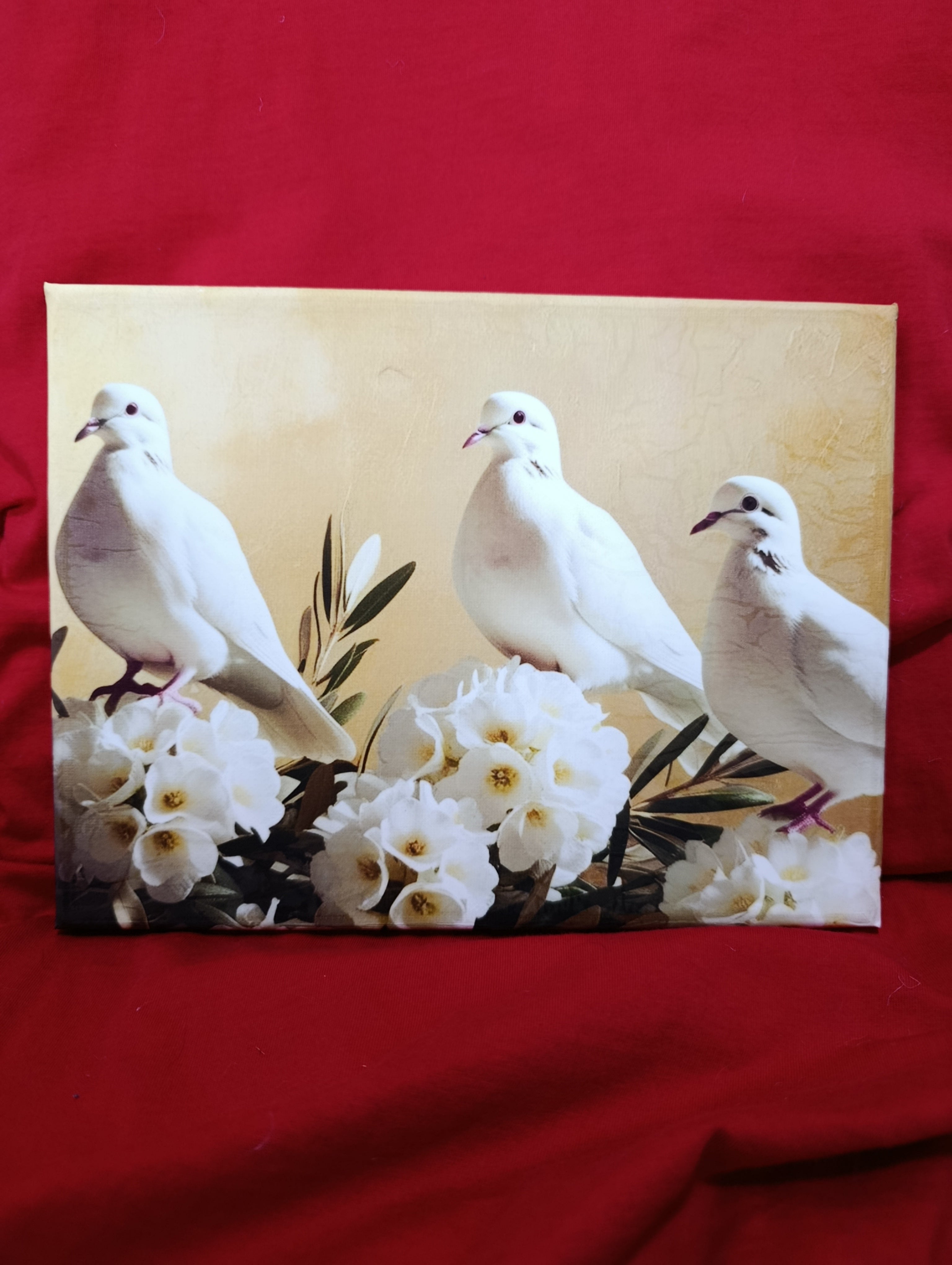 Stampa su tela intelaiata 18x24  .