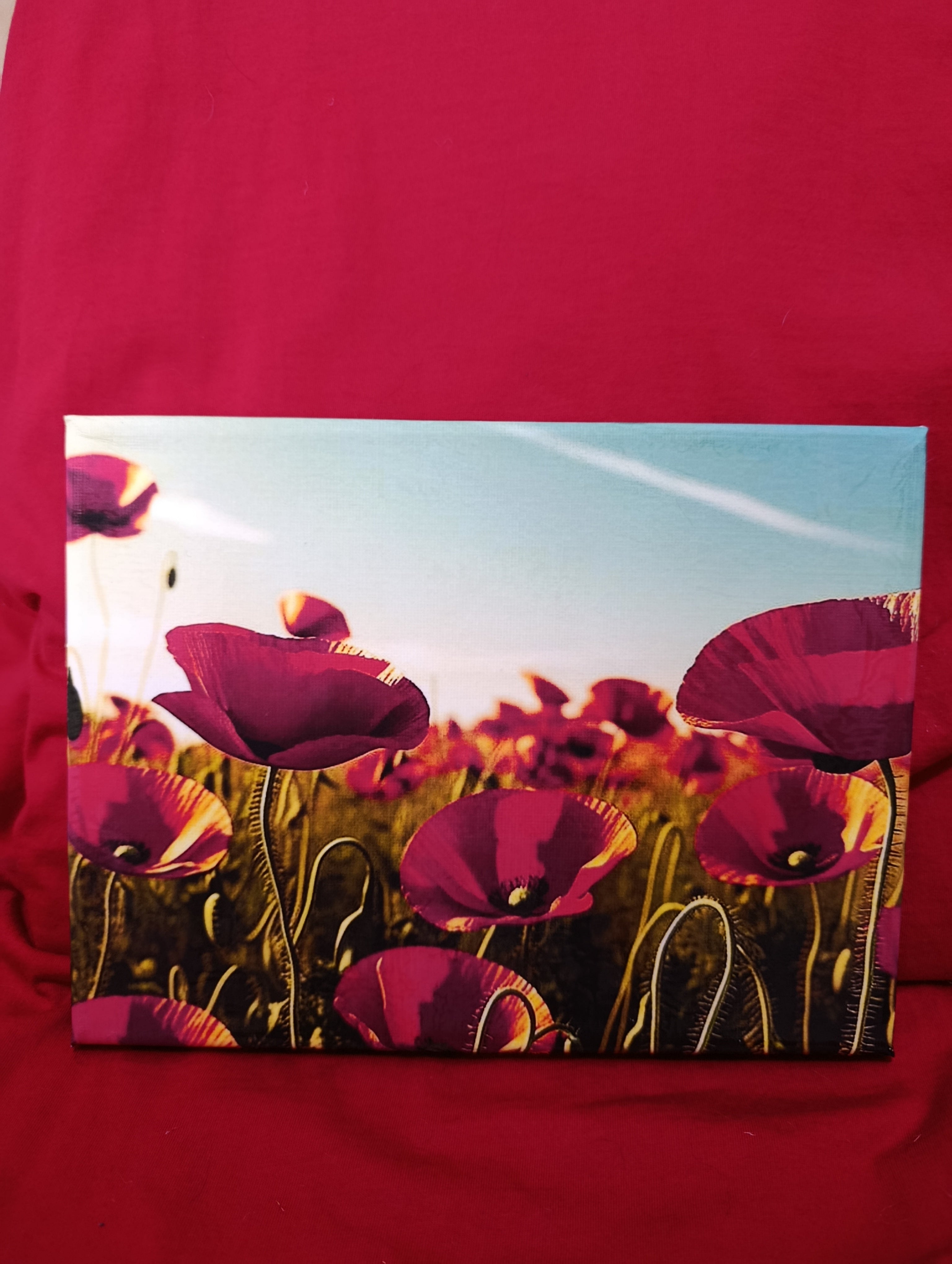 Papaveri 18x24 , stampa su tela .