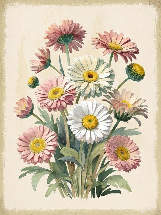 Collezione Primavera , immagini su misura