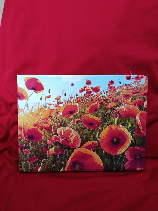 Papaveri , stampa 18x24